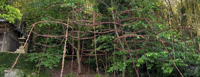 空の粒子 is one of 香川(讃岐).