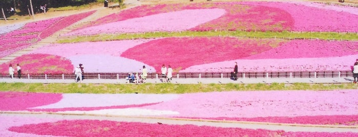 羊山公園 is one of Things to do - Tokyo & Vicinity, Japan.