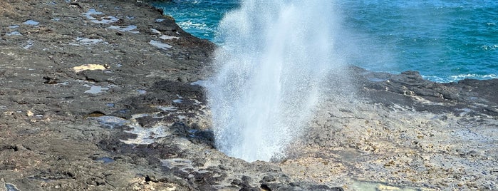 Spouting Horn State Park is one of สถานที่ที่ Mark ถูกใจ.