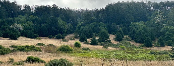 Bear Valley Trail is one of Marin County, CA.