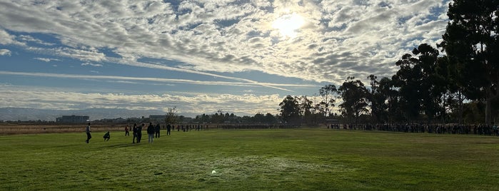 Baylands Park is one of Mason Lynch.