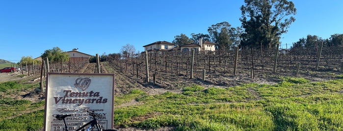 Tenuta Vineyards is one of Livermore West Side Wineries.