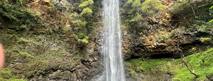 Uluwehi Falls is one of Kauai.