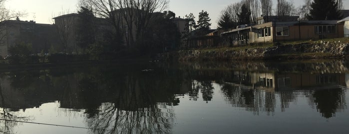 Laghetto Dei Cigni is one of Milano, Repubblica Italiana.