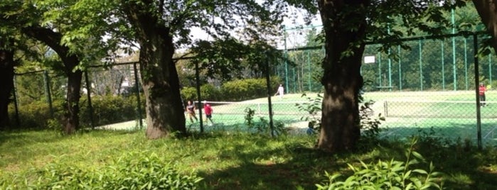 Mejirodai Sports Park is one of 日本.