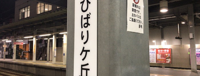 Hibarigaoka Station (SI13) is one of 西武池袋・狭山線-西武有楽町線-副都心線-東急東横線-みなとみらい線.