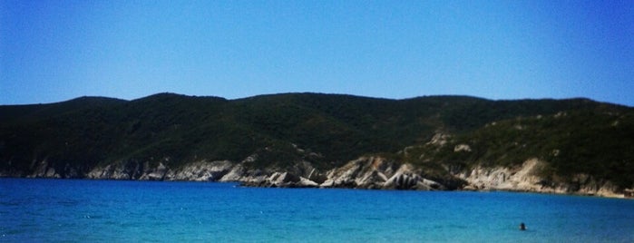 Kalamitsi Beach is one of Sithonia's beaches.