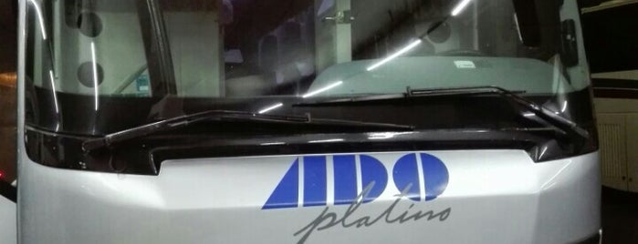 ADO GL Platino is one of Danielさんのお気に入りスポット.