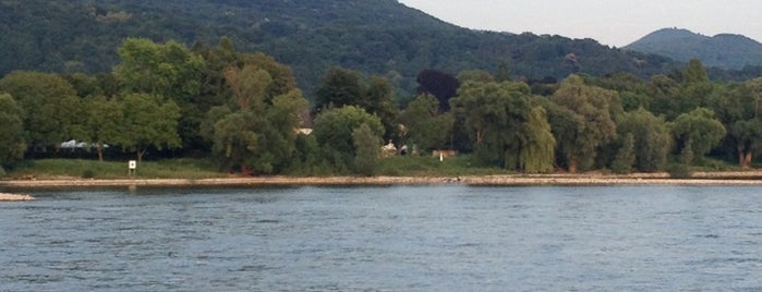 Rheinfähre Bad Godesberg-Niederdollendorf is one of Jens'in Beğendiği Mekanlar.