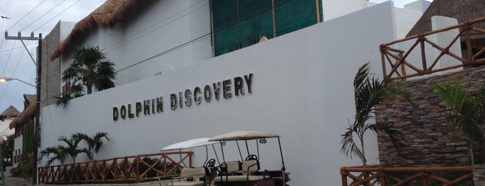 Dolphin Discovery is one of Viagens.