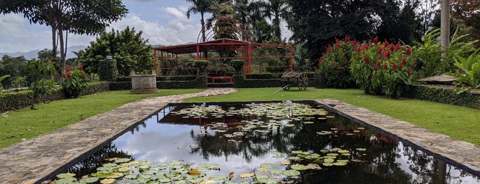 Jardin Botanico y Cultural William Miranda Marin is one of Turismo Alternativo.