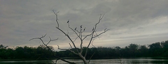 Skokie Lagoons is one of Day Trips and  Hiking.