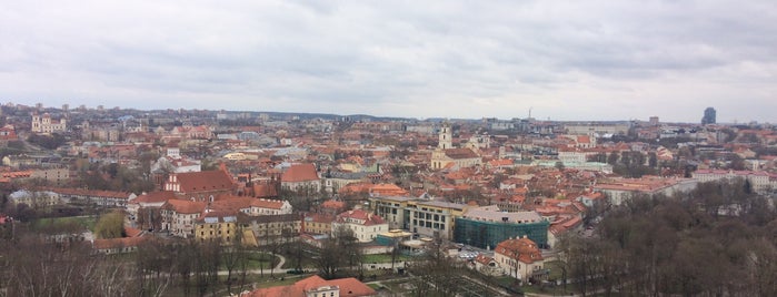 Vilnius is one of Posti che sono piaciuti a Roman.