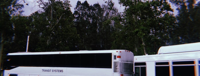 Hollywood Bowl Shuttle - LA Zoo is one of Posti che sono piaciuti a Michael.