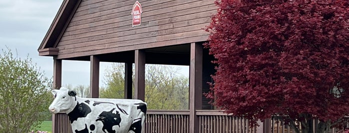 Barstow's Dairy Store & Bakery is one of UMASS.