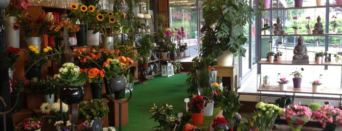 Flower Shop is one of SHAPE.