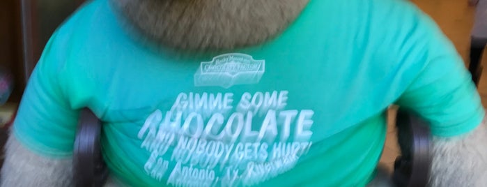 Rocky Mountain Chocolate Factory is one of San Antonio.