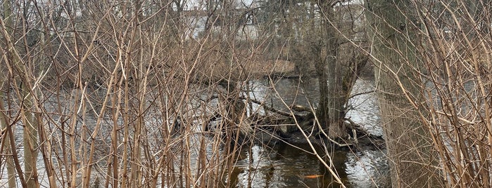 Charles River Bike Path is one of Boston To Do.