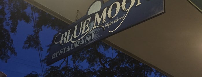 blue moon restaurant is one of Favorites.