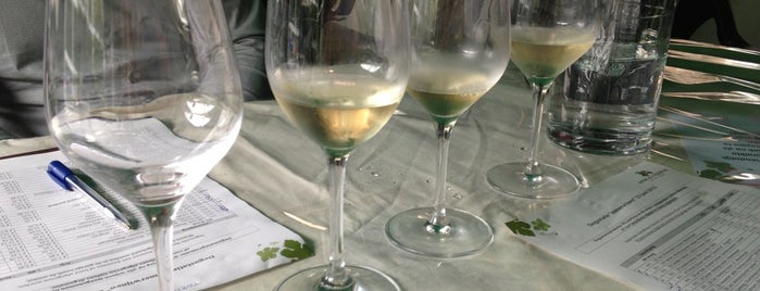 Vinikus & Lazarus is one of Brussels for Wine Geeks.