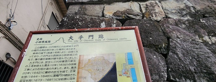 Site of Otemon Gate of Odawara castle is one of その他.