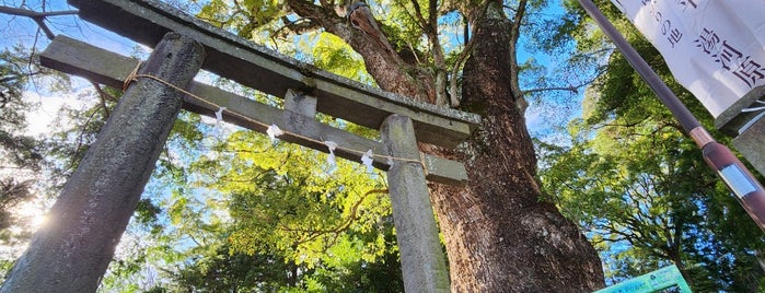 五所神社 is one of 小田原箱根.