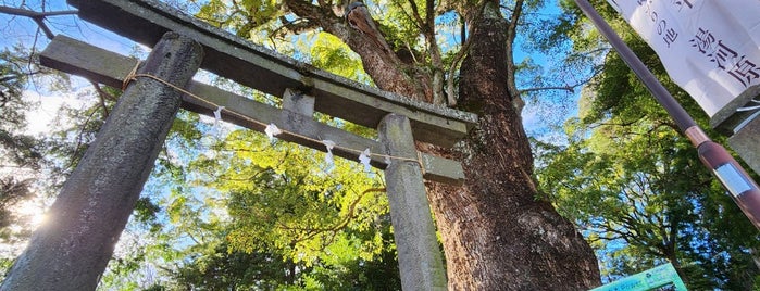 五所神社 is one of 行ってみようかな.