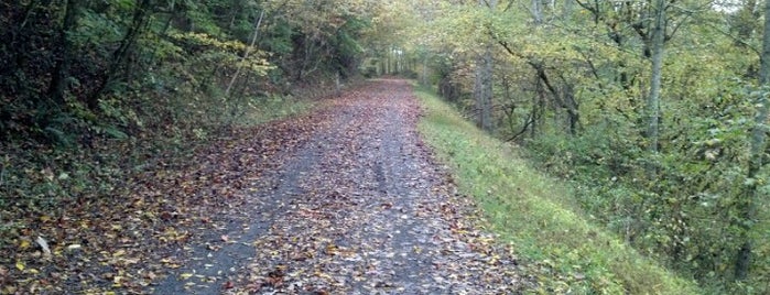Virginia Creeper Trail is one of Lugares favoritos de Jim.