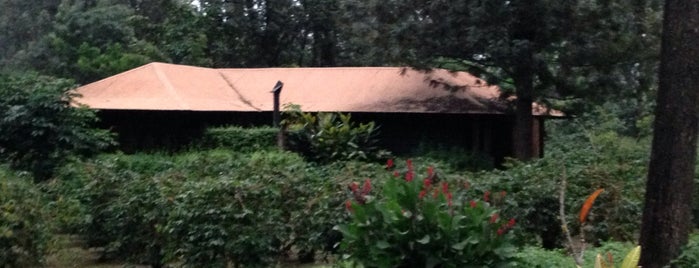 Arusha Coffee Lodge is one of Tanzania.