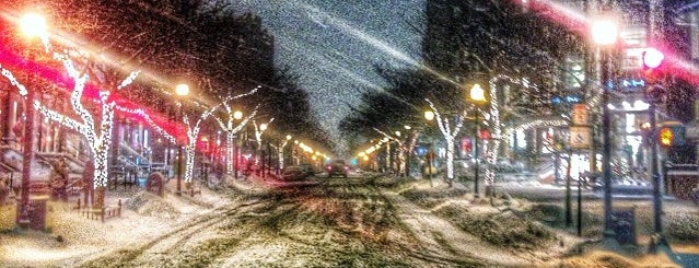 Newbury Street is one of Boston.