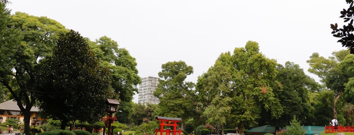 Jardín Japonés is one of สถานที่ที่ Nayane ถูกใจ.