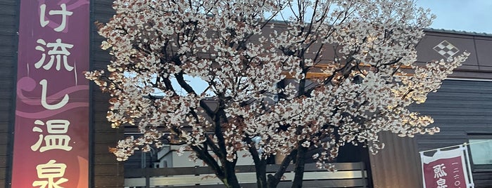 游心の湯 is one of 温泉 行きたい.