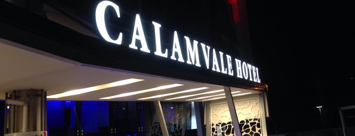 The Calamvale Hotel is one of João : понравившиеся места.