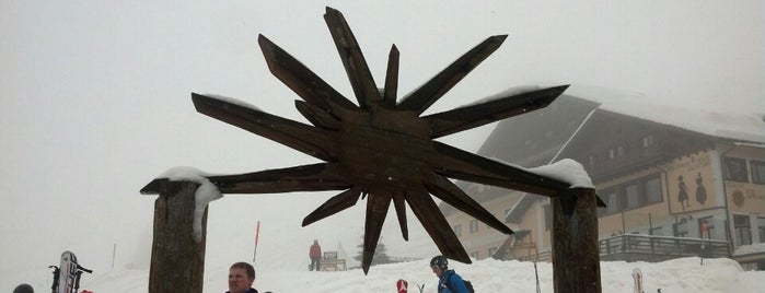 Schweizer Skischule Salastrains is one of Orietta : понравившиеся места.