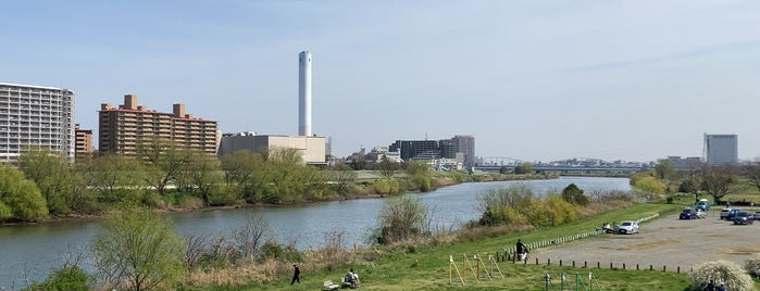 平間の渡し is one of 多摩川.