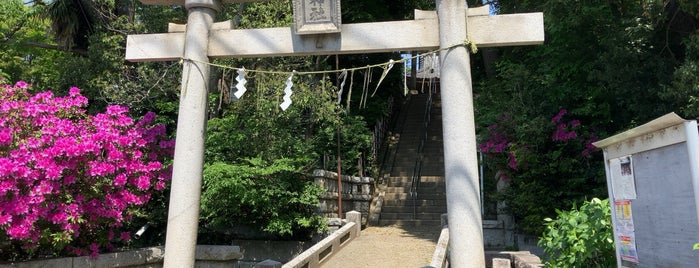 田園調布八幡神社 is one of 東京都大田区の神社.