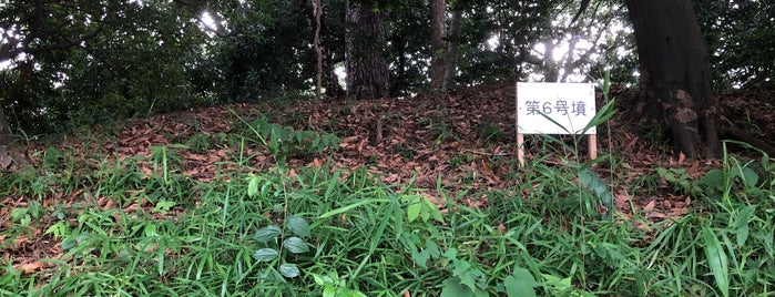 Tamagawadai Kofun Gun (Mounted Tombs) is one of 東日本の古墳 Acient Tombs in Eastern Japan.