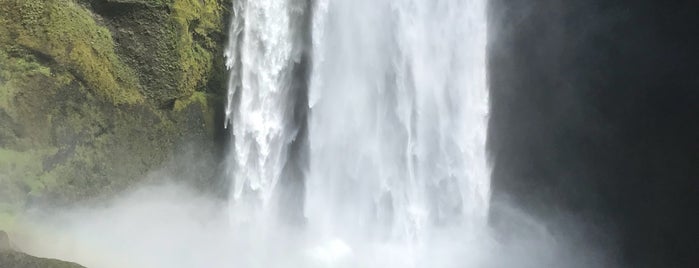 Skógafoss is one of Aliさんのお気に入りスポット.