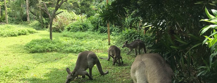 Singapore Zoo is one of Lugares favoritos de Ali.