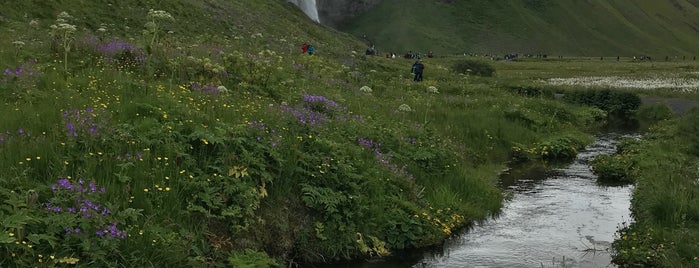 Seljalandsfoss is one of สถานที่ที่ Ali ถูกใจ.