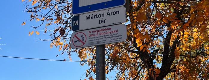 Márton Áron tér (8E, 908) is one of 8-as busz.