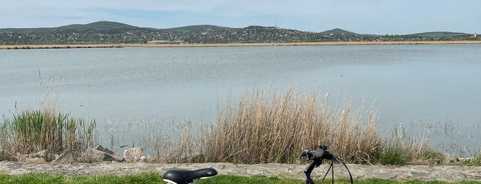 Velencei-tó is one of Közép-Dunántúl/Bakony.