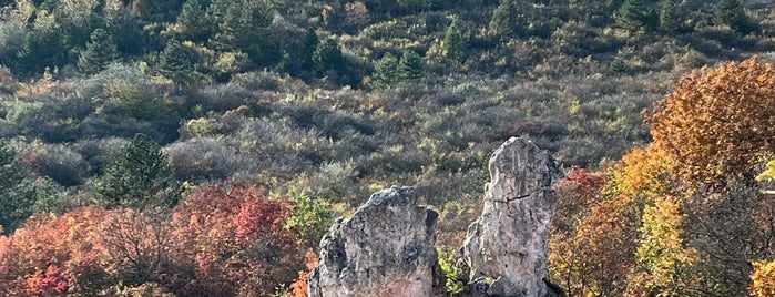 Teve-szikla is one of Budai hegység/Pilis.