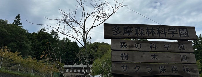 多摩森林科学園 is one of 公園.