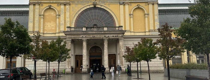 Kelenföld Railway Station is one of Victor's train stations.