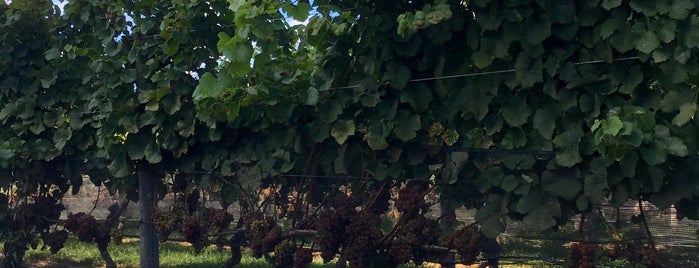 Pindar Vineyards is one of North Fork Wine Trail.