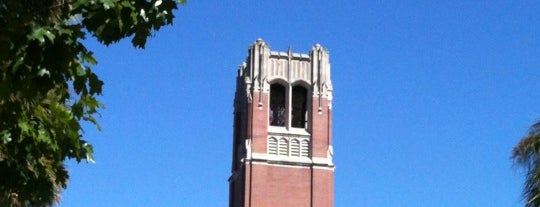 Università della Florida is one of NCAA Division I FBS Football Schools.