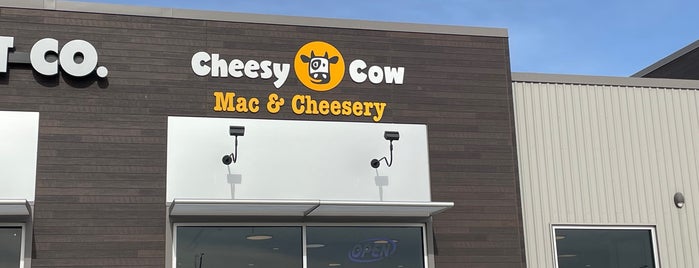 Cheesy Cow Mac & Cheesery is one of D-Port Eats.
