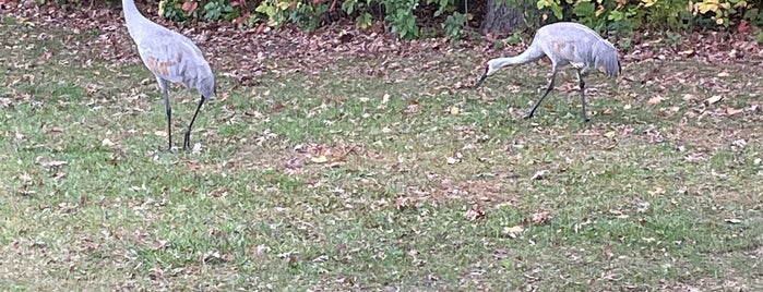 Snail Lake Regional Park is one of Parks.