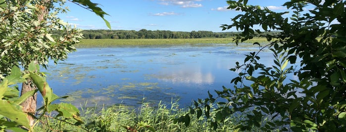MN River NWR - Bass ponds is one of Walking / Hiking in Bloomington.